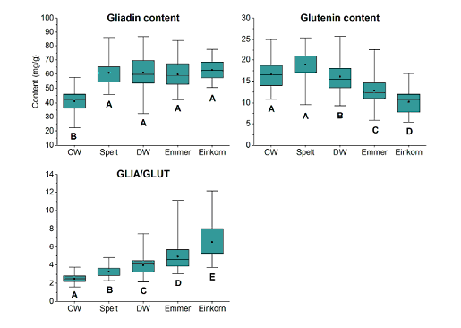 Zawartość gliadyny i gluteniny w różnych odmianach pszenicy 